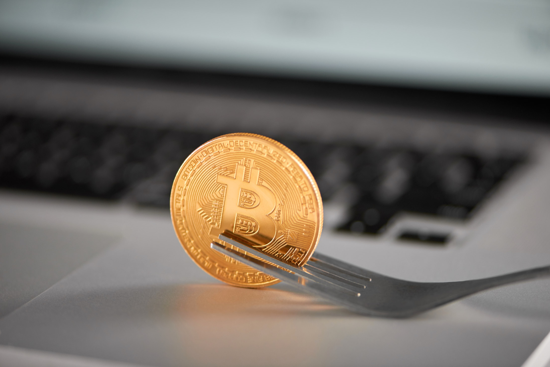 Guide to Bitcoin Forks
