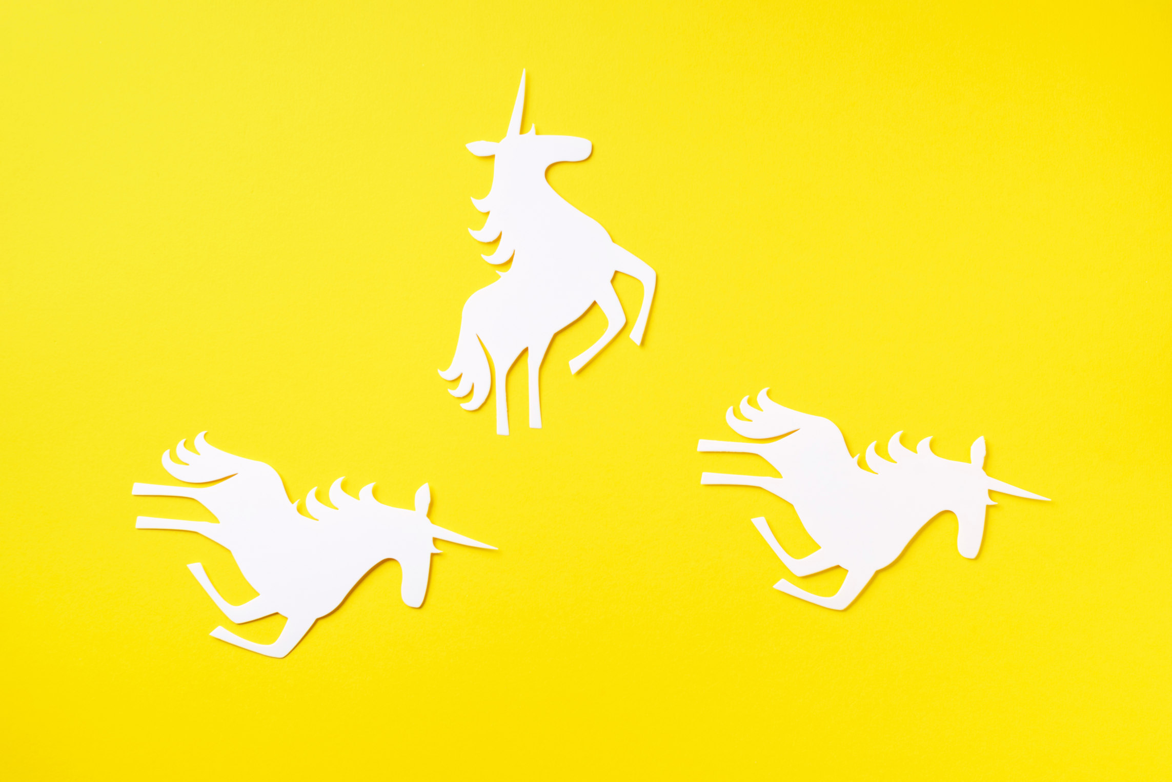 What is a Unicorn Startup?
