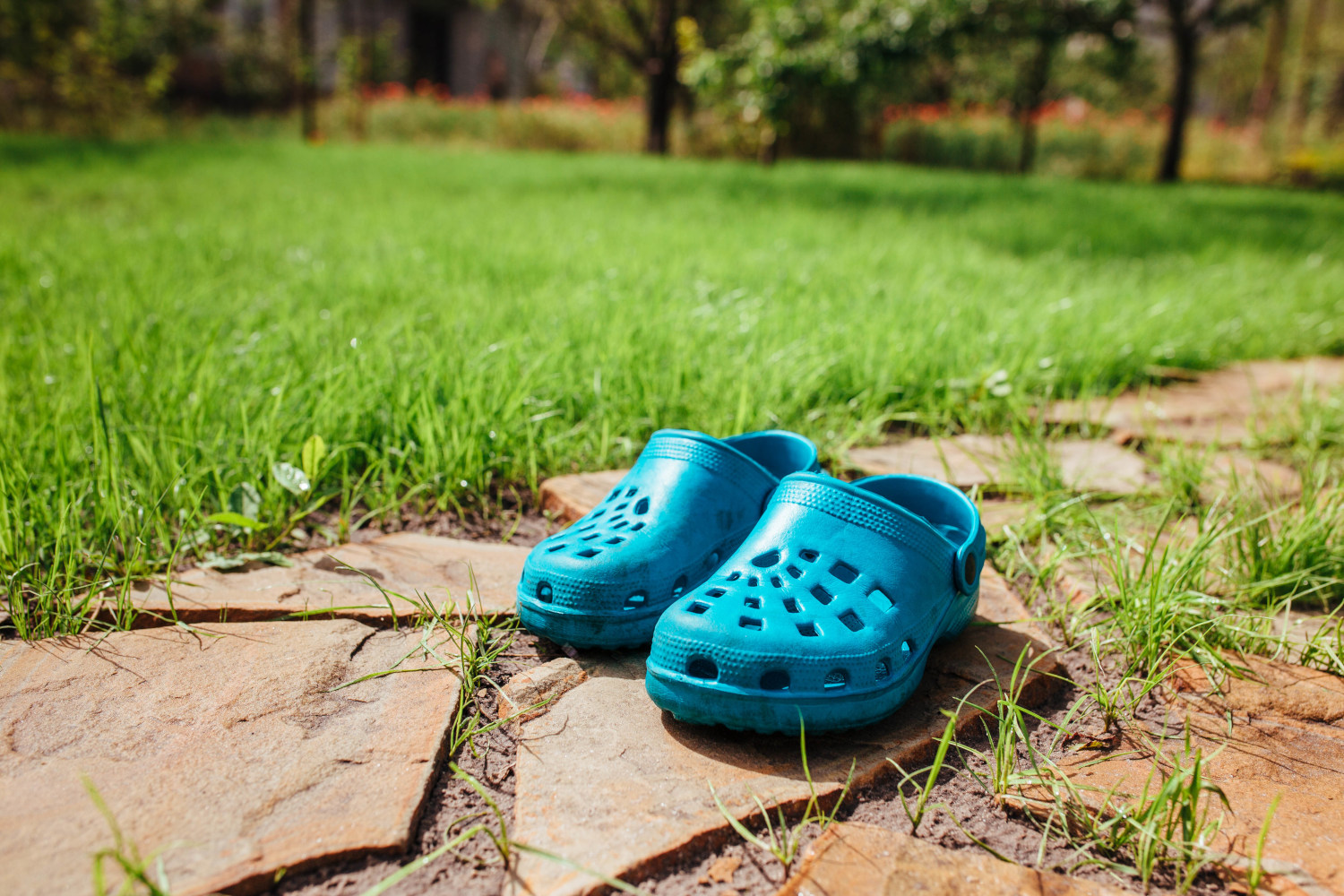 The Ultimate Canvas for Your Feet: A Colorful Review of the Crocs Classic Clog